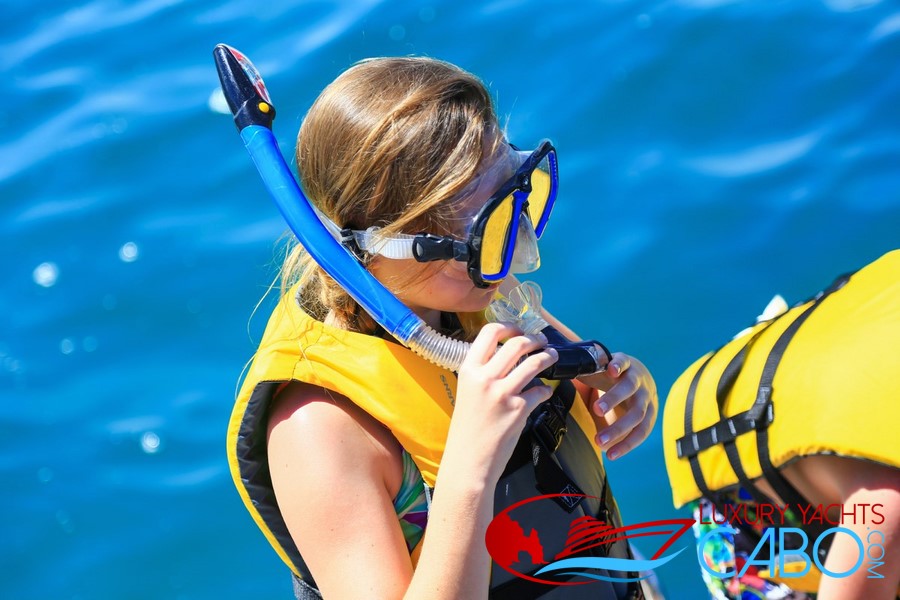 Luxury Yachts Cabo, Cabo San Lucas Yacht Charters, Los Cabos Luxury Yachts, Luxury Boats Cabo, Photography, Yachts, Boats, Charters, Boat Rentals Cabo, La Paz, mega Yachts, Yacht Charters Cabo San Lucas, snorkeling Cabo Tours private